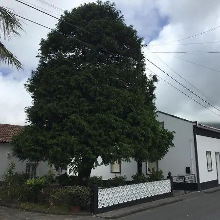The Cedar Tree House Studio 48 Apartment Sete Cidades Exterior photo