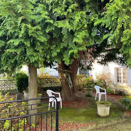 The Cedar Tree House Studio 48 Apartment Sete Cidades Exterior photo