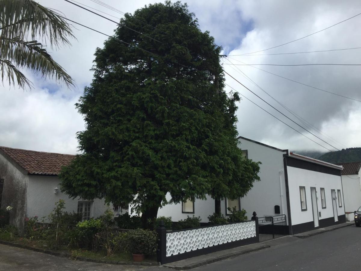 The Cedar Tree House Studio 48 *