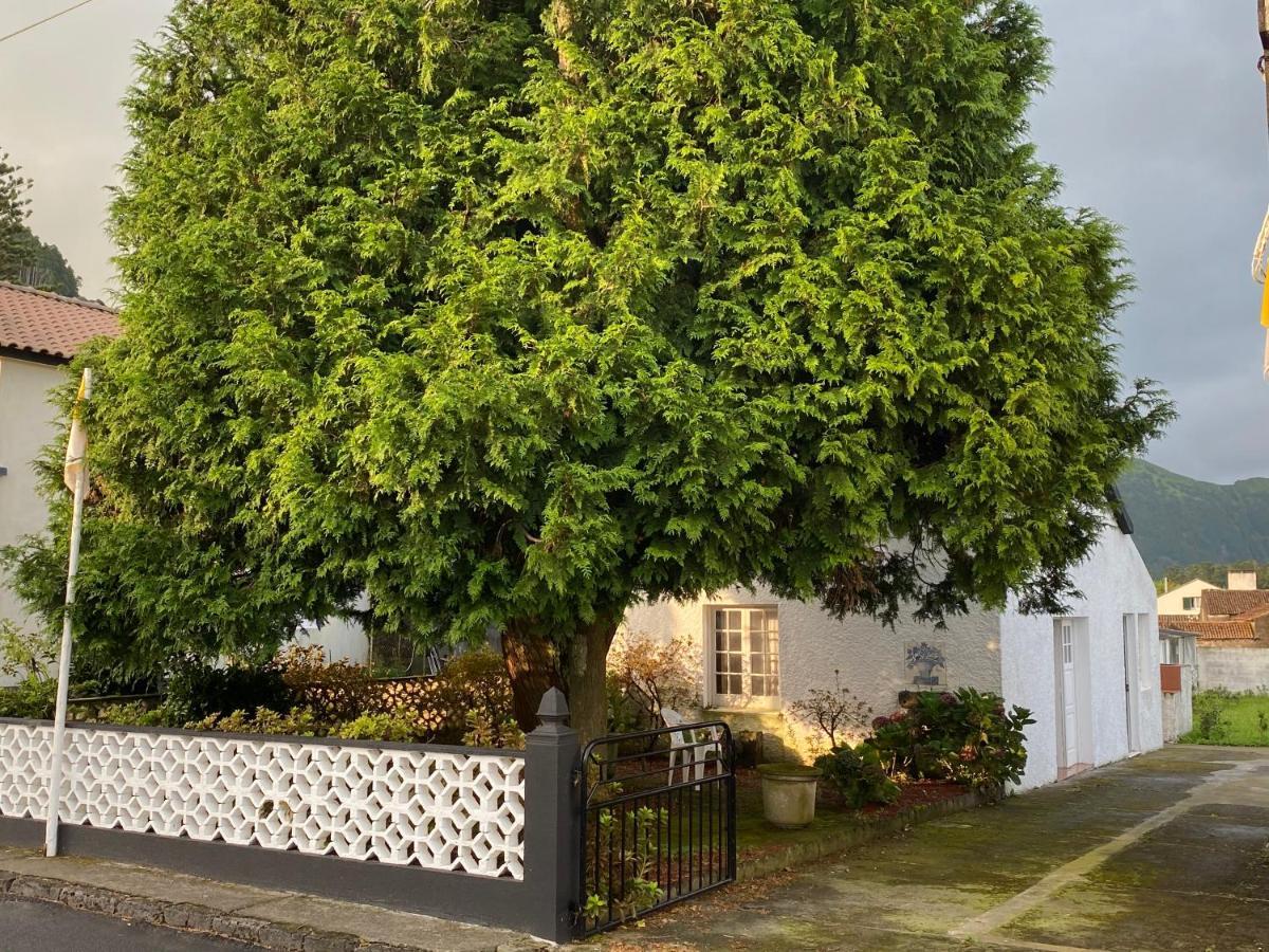 Apartment The Cedar Tree House Studio 48 Sete Cidades