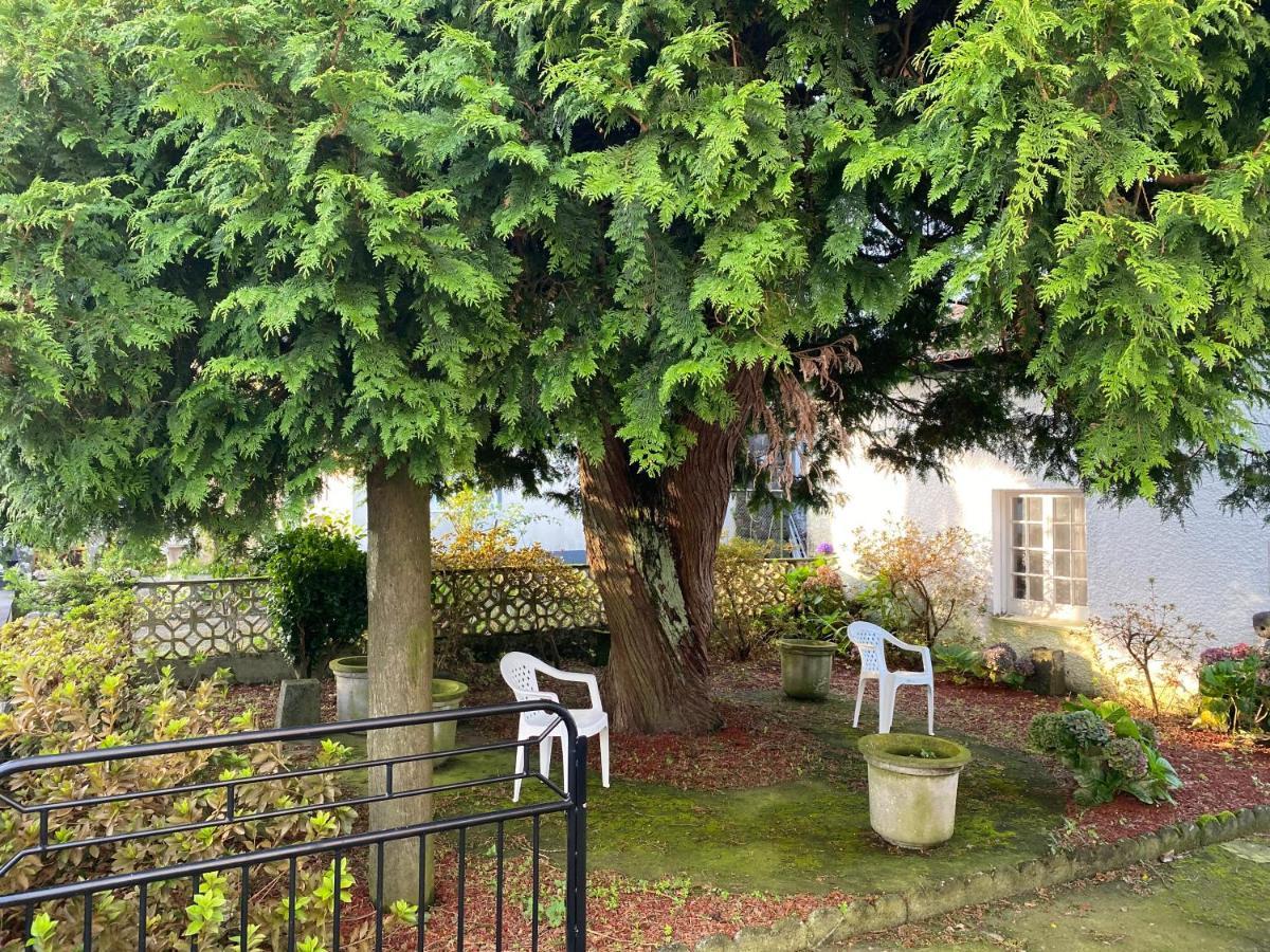 The Cedar Tree House Studio 48 * Sete Cidades