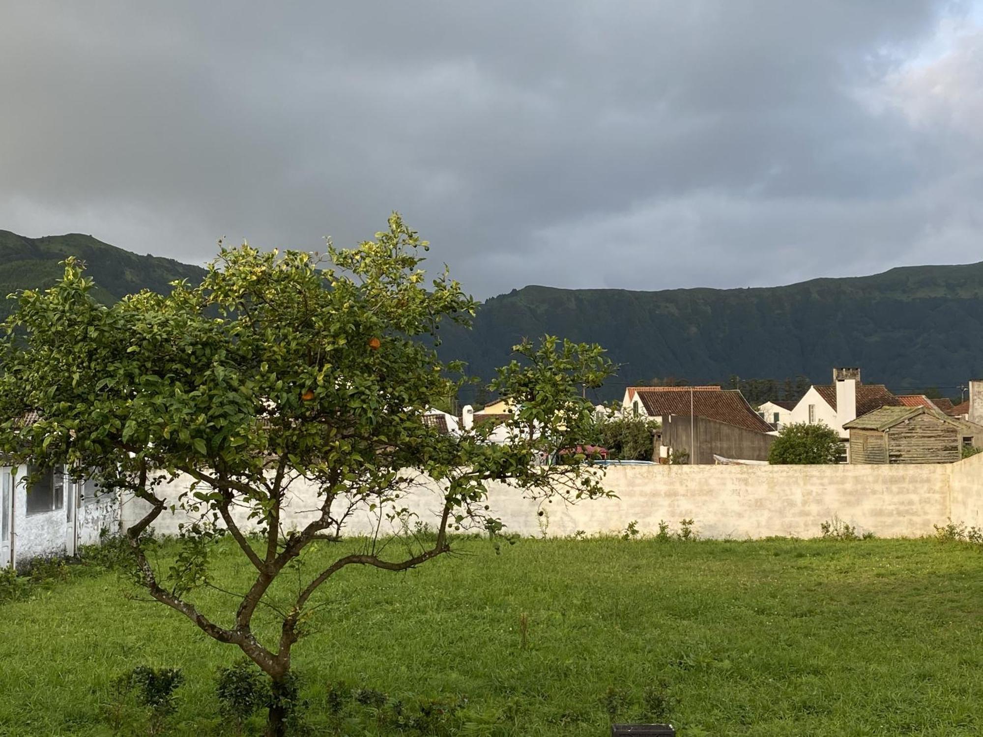 The Cedar Tree House Studio 48 Sete Cidades